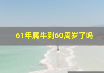 61年属牛到60周岁了吗