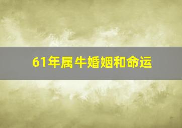 61年属牛婚姻和命运