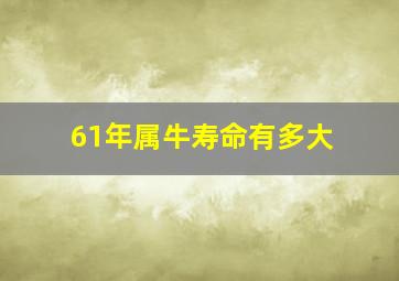 61年属牛寿命有多大