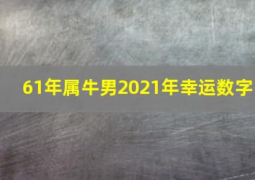 61年属牛男2021年幸运数字