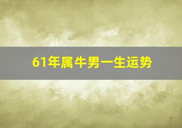 61年属牛男一生运势