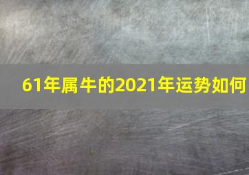 61年属牛的2021年运势如何