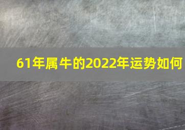 61年属牛的2022年运势如何