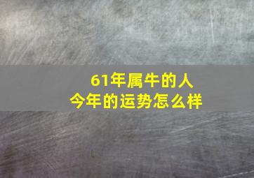 61年属牛的人今年的运势怎么样