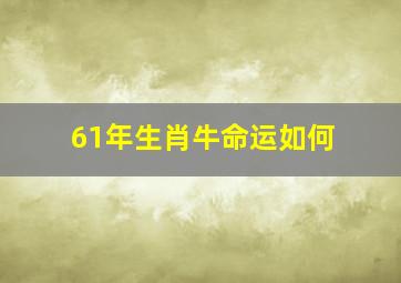 61年生肖牛命运如何