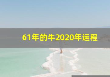 61年的牛2020年运程