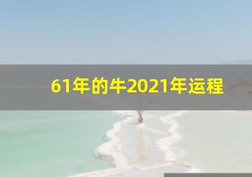 61年的牛2021年运程