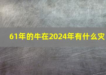 61年的牛在2024年有什么灾