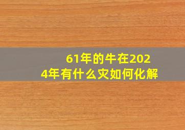 61年的牛在2024年有什么灾如何化解