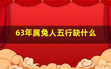 63年属兔人五行缺什么