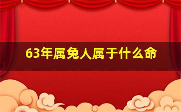 63年属兔人属于什么命