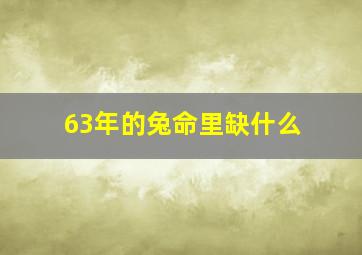 63年的兔命里缺什么