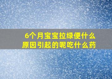 6个月宝宝拉绿便什么原因引起的呢吃什么药