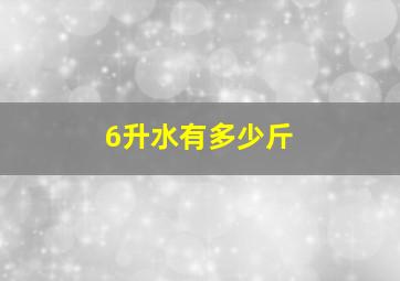 6升水有多少斤