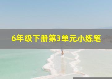 6年级下册第3单元小练笔