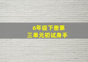 6年级下册第三单元初试身手