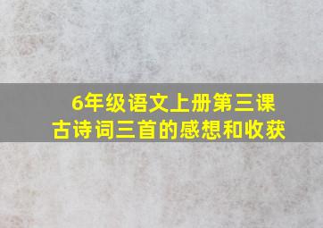 6年级语文上册第三课古诗词三首的感想和收获