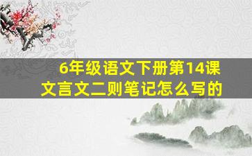 6年级语文下册第14课文言文二则笔记怎么写的