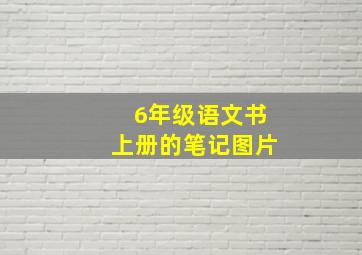 6年级语文书上册的笔记图片