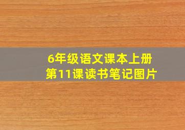 6年级语文课本上册第11课读书笔记图片