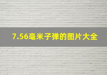 7.56毫米子弹的图片大全