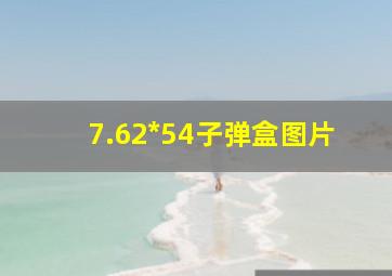 7.62*54子弹盒图片