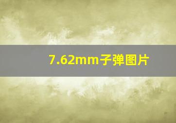 7.62mm子弹图片