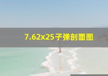 7.62x25子弹剖面图