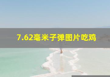 7.62毫米子弹图片吃鸡