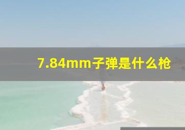 7.84mm子弹是什么枪