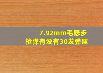 7.92mm毛瑟步枪弹有没有30发弹匣