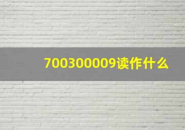 700300009读作什么