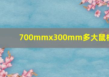 700mmx300mm多大鼠标垫