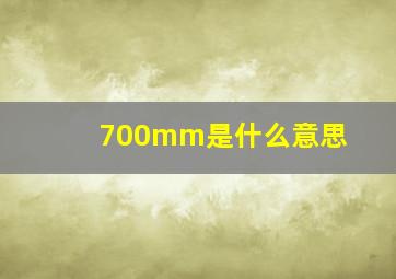 700mm是什么意思