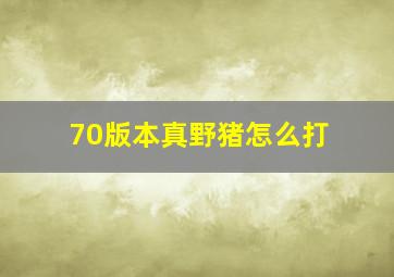 70版本真野猪怎么打