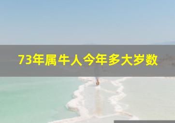 73年属牛人今年多大岁数