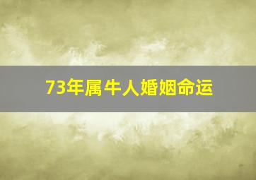 73年属牛人婚姻命运