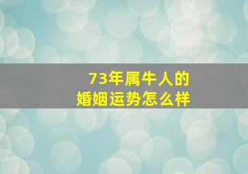 73年属牛人的婚姻运势怎么样