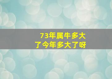 73年属牛多大了今年多大了呀