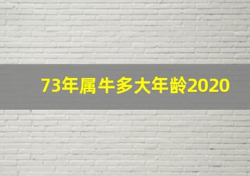 73年属牛多大年龄2020