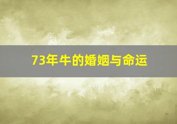 73年牛的婚姻与命运