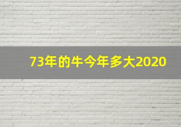 73年的牛今年多大2020