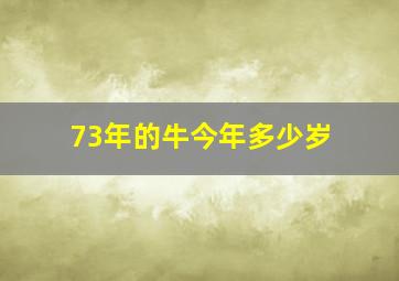 73年的牛今年多少岁