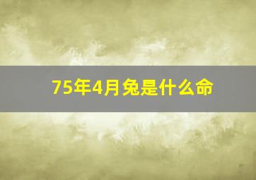 75年4月兔是什么命