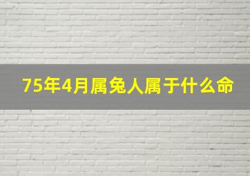 75年4月属兔人属于什么命