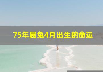 75年属兔4月出生的命运