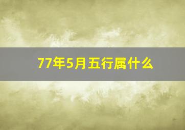 77年5月五行属什么