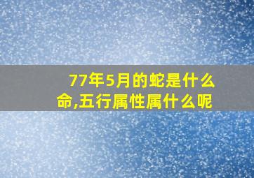 77年5月的蛇是什么命,五行属性属什么呢