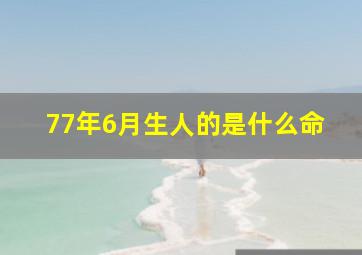 77年6月生人的是什么命