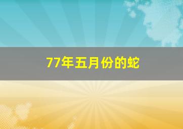 77年五月份的蛇